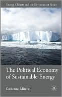 Book The Political Economy of Sustainable Energy (Energy, Climate and the Environment) free