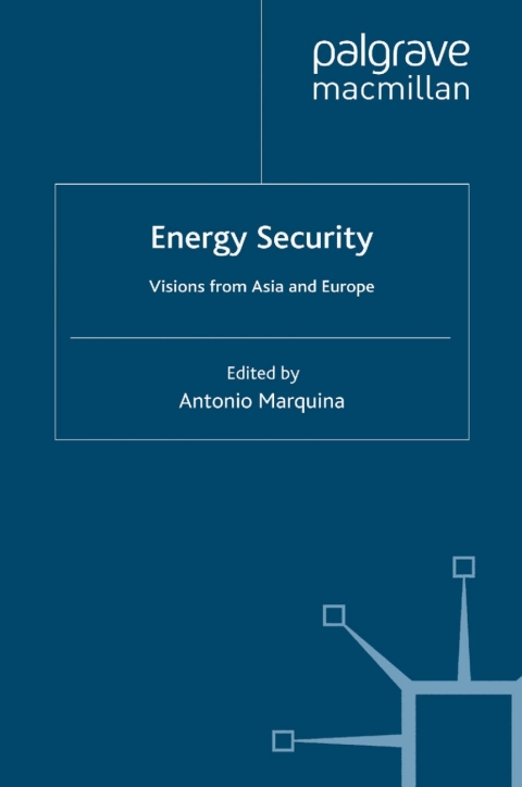 Book Energy Security free