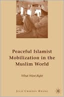 Book Peaceful Islamist Mobilization in the Muslim World: What Went Right free