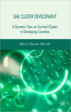 Book Sme Cluster Development: A Dynamic View Of Survival Clusters In Developing Countries free