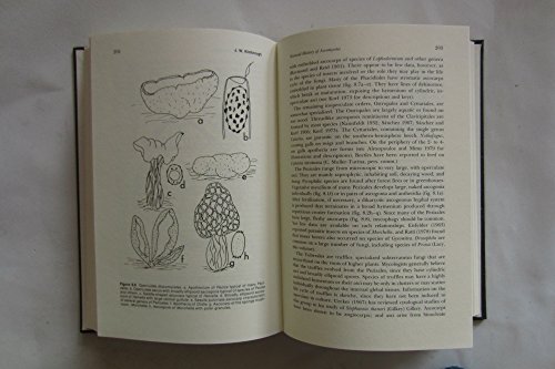 Book Fungus-insect Relationships: Perspectives In Ecology And Evolution free