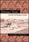 Book Dinosaur Tracks and Other Fossil Footprints of Europe free
