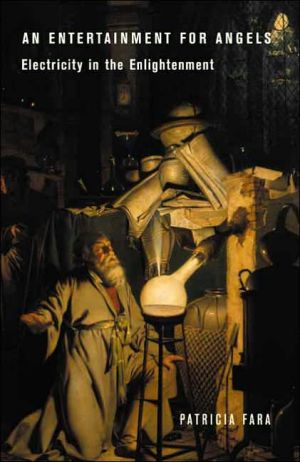 Book An Entertainment For Angels: Electricity In The Enlightenment free
