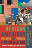 Book African American Children and Families in Child Welfare: Cultural Adaptation of Services free