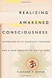 Book Realizing Awakened Consciousness: Interviews with Buddhist Teachers and a New Perspective on the Mind free
