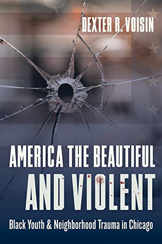 Book America the Beautiful and Violent: Black Youth and Neighborhood Trauma in Chicago free