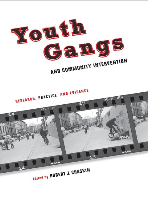 Book Youth Gangs and Community Intervention: Research, Practice, and Evidence free