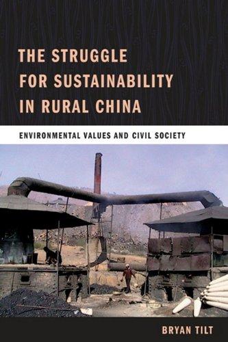 Book The Struggle for Sustainability in Rural China: Environmental Values and Civil Society free