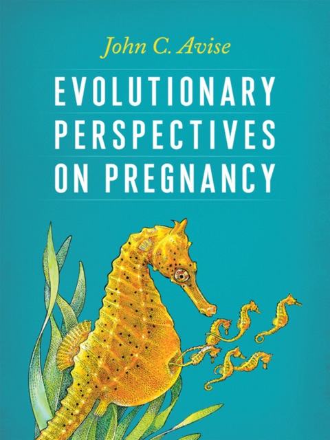 Book Evolutionary Perspectives on Pregnancy free