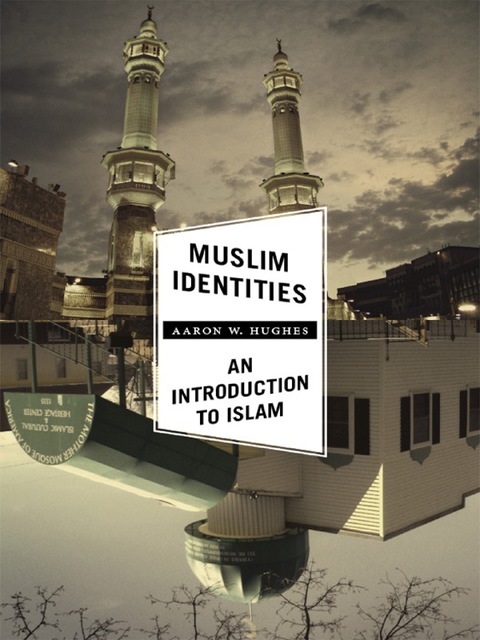 Book Muslim Identities: An Introduction to Islam free