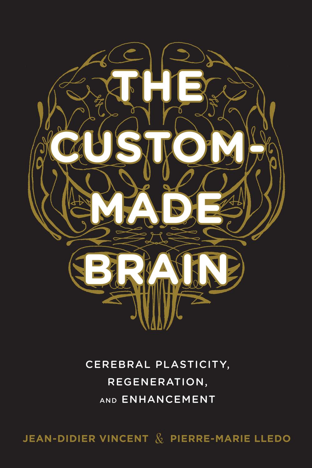 Book The Custom-Made Brain: Cerebral Plasticity, Regeneration, and Enhancement free
