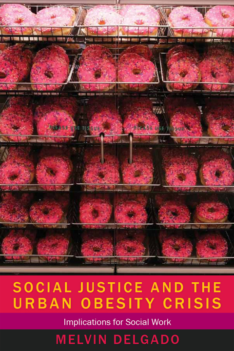 Book Social Justice and the Urban Obesity Crisis: Implications for Social Work free