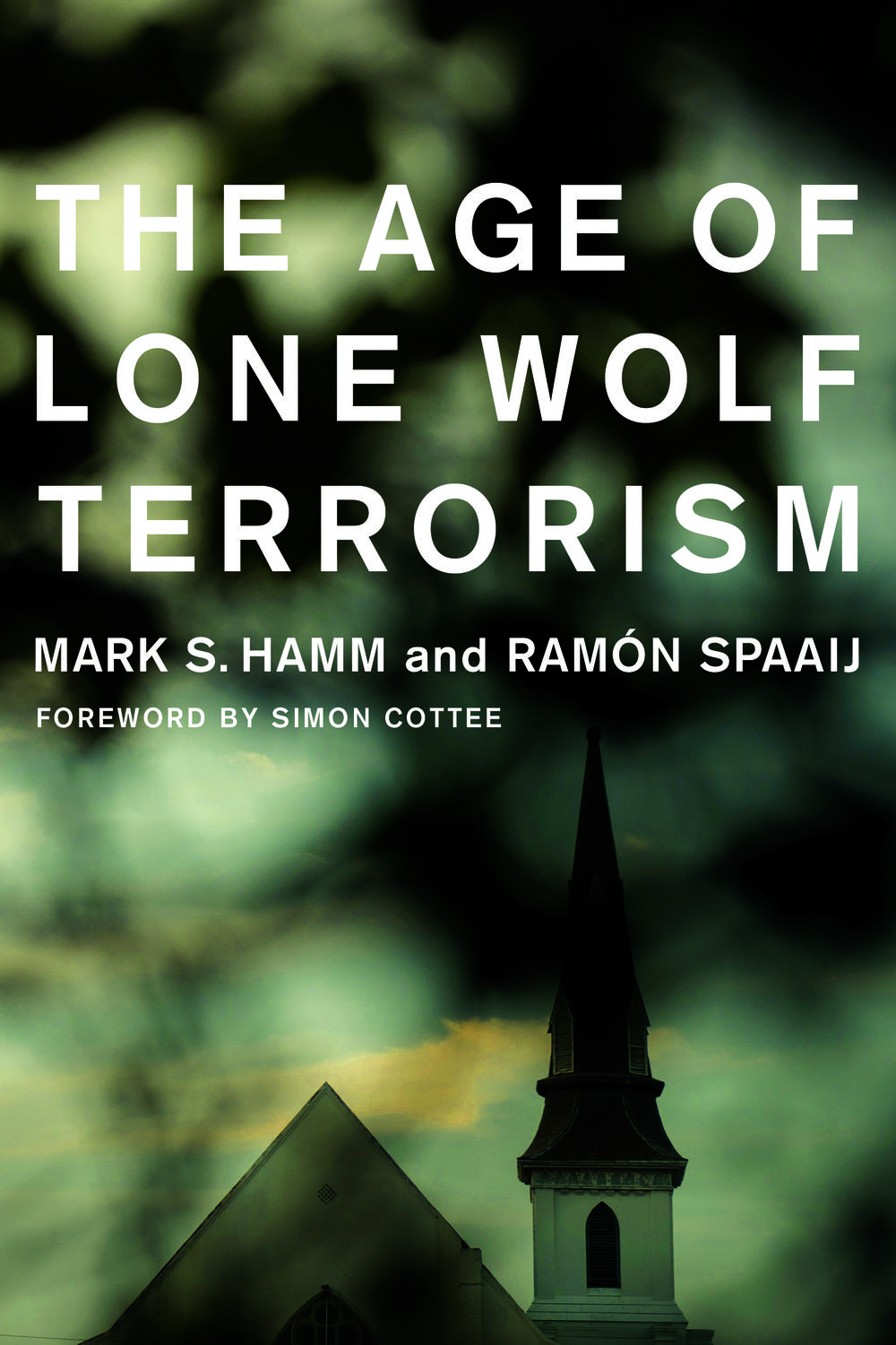 Book The Age of Lone Wolf Terrorism free