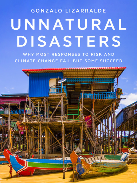 Book Unnatural Disasters free