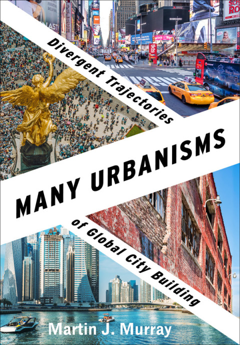 Book Many Urbanisms free