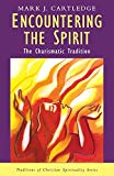Book Encountering the Spirit: The Charismatic Tradition free