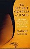 Book Secret Gospels of Jesus: The Definitive Collection of Gnostic Gospels and Mystical Books about Jesus of Nazareth free