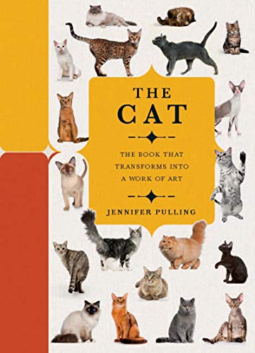 Book Paperscapes: The Cat: A Book That Transforms Into a Work of Art free