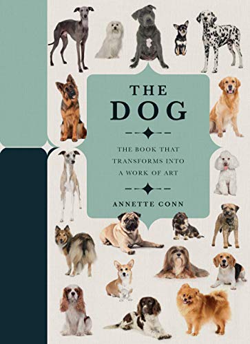 Book Paperscapes: The Dog: A Book That Transforms Into a Work of Art free