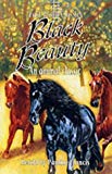 Book Black Beauty: An Animal Classic (Fast Track Classics) free