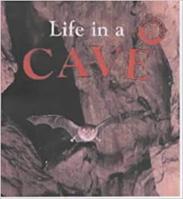 Book Life in a Cave (Microhabitats) free