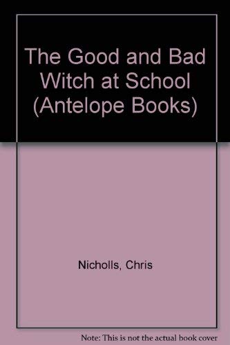 Book Good & the Bad Witch At School free