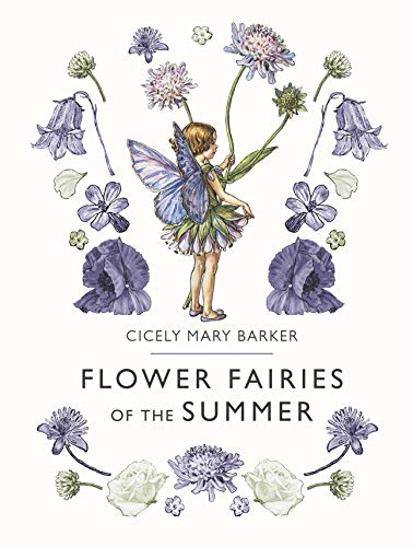 Book Flower Fairies Of The Summer free
