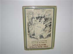 Book The Haunted Mountain free