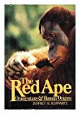 Book The Red Ape: Orang-utans And Human Origins free