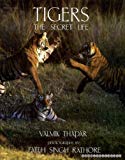 Book Tigers: The Secret Life free