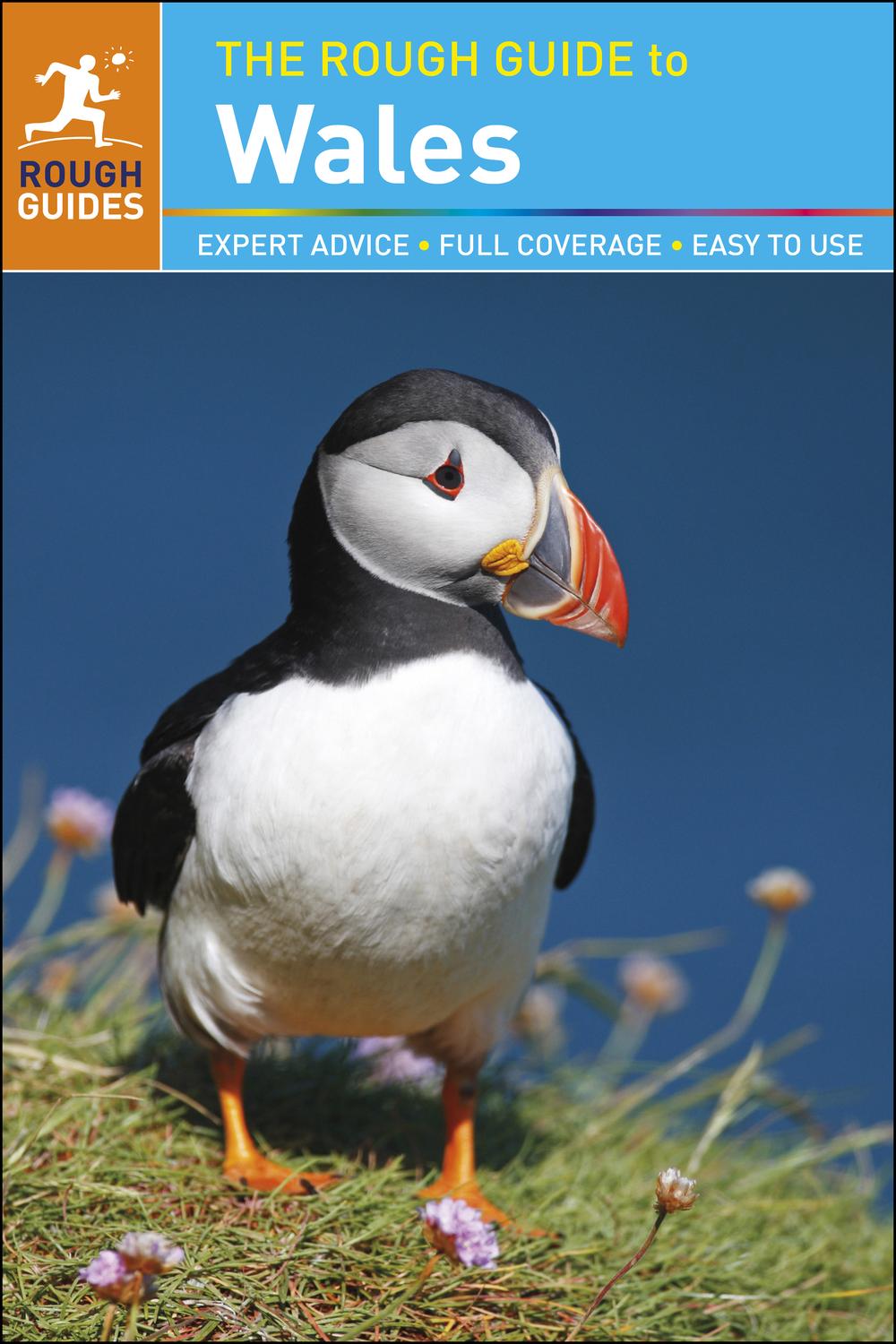 Book The Rough Guide to Wales free