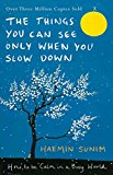 Book The Things You Can See Only When You Slow Down: How to be Calm in a Busy World free
