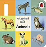Book A Ladybird buggy book: Animals free