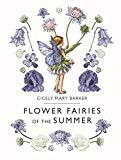 Book Flower Fairies of the Summer free