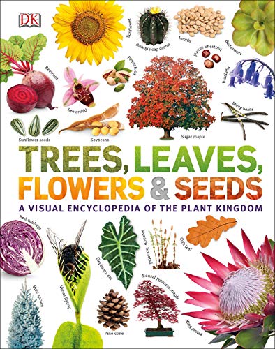 Book Trees, Leaves, Flowers and Seeds: A visual encyclopedia of the plant kingdom free