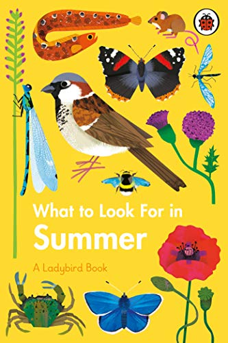 Book What to Look For in Summer free