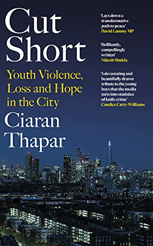 Book Cut Short: Youth Violence, Loss and Hope in the City free