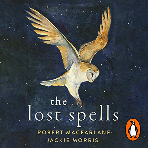 Book The Lost Spells free