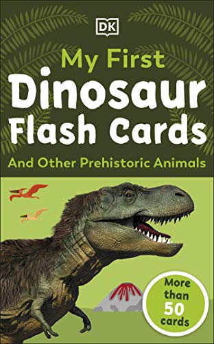 Book My First Dinosaur Flash Cards free