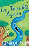 Book In Trouble Again free