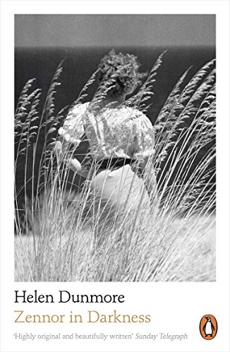 Book Zennor in Darkness: From the Women’s Prize-Winning Author of A Spell of Winter free