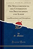 Book Die Molluskenfauna des Untersenon von Braunschweig und Ilsede, Vol. 1: Lamellibranchiaten und Glossophoren (Classic Reprint) (German Edition) free