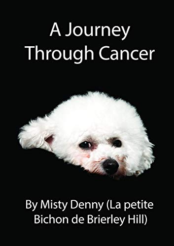 Book A Journey Through Cancer free