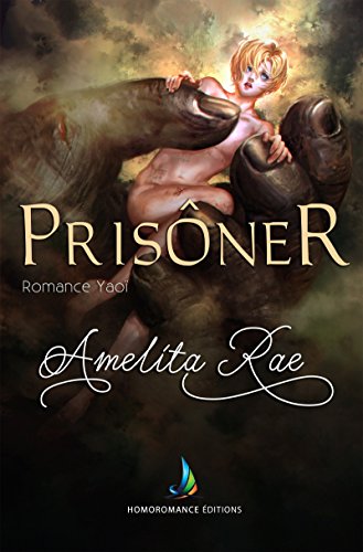 Book Prisonnier (Romance Gay) (French Edition) free