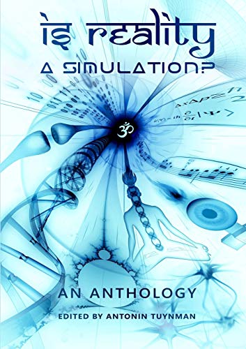 Book Is Reality a Simulation? free