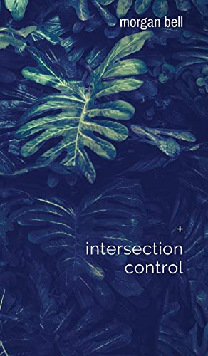 Book Intersection Control: Collected Works free