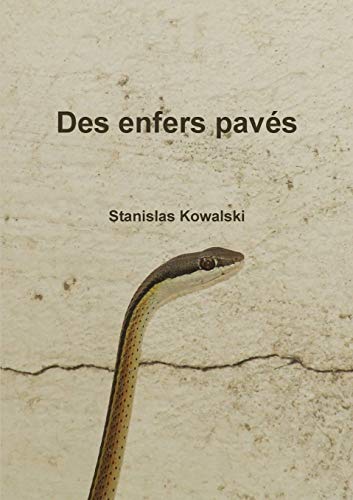 Book Des enfers pavés (French Edition) free