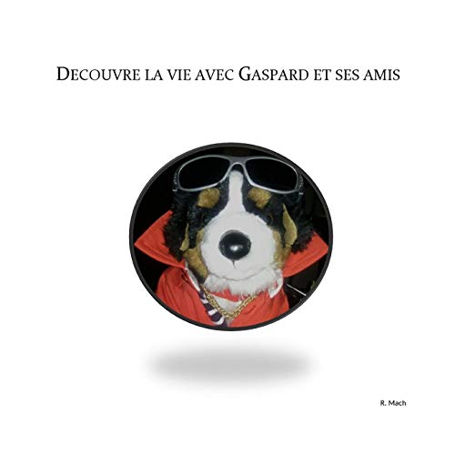 Book Découvre la vie avec Gaspard et ses amis (French Edition) free
