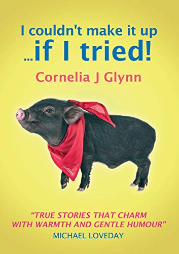 Book I couldn't make it up ... if I tried! free