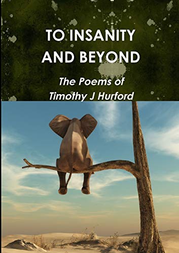 Book To Insanity and Beyond free